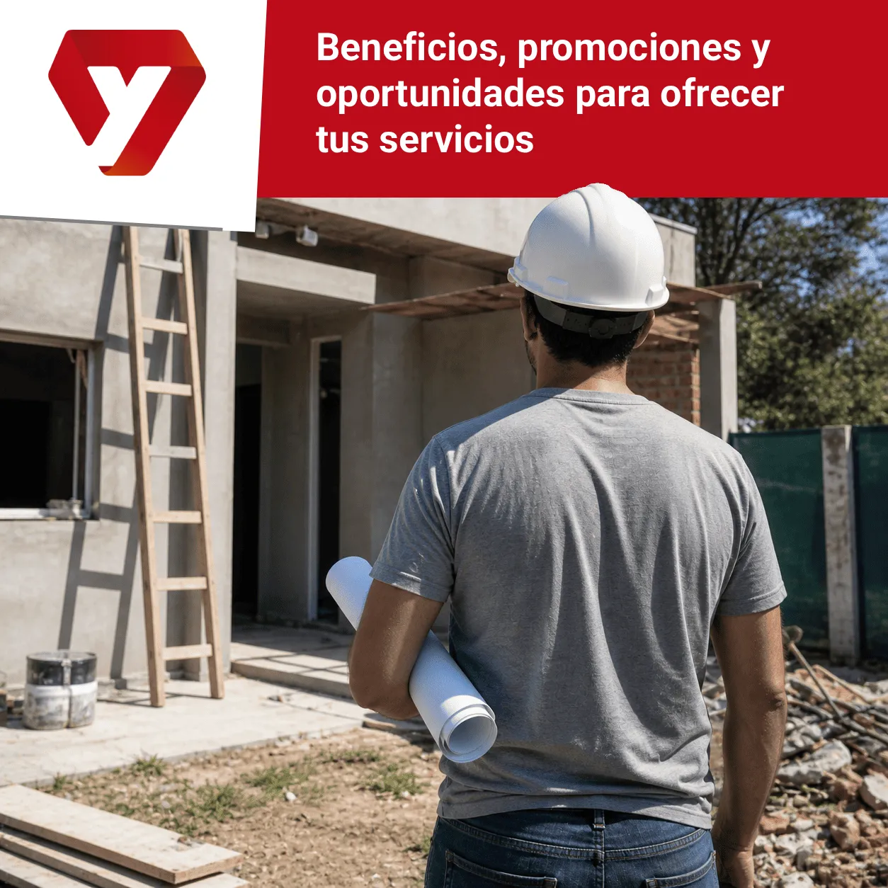 Programa Profesionales